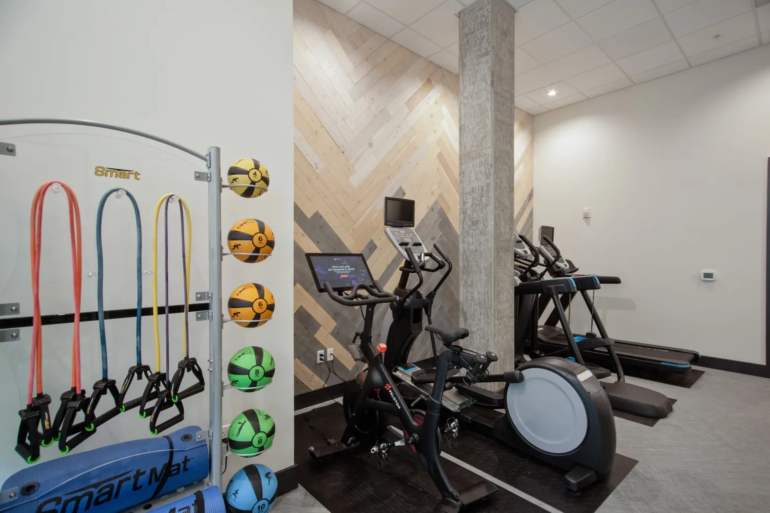 A modern gym with exercise machines, colorful medicine balls, resistance bands, and mats neatly organized against a wood-patterned wall.