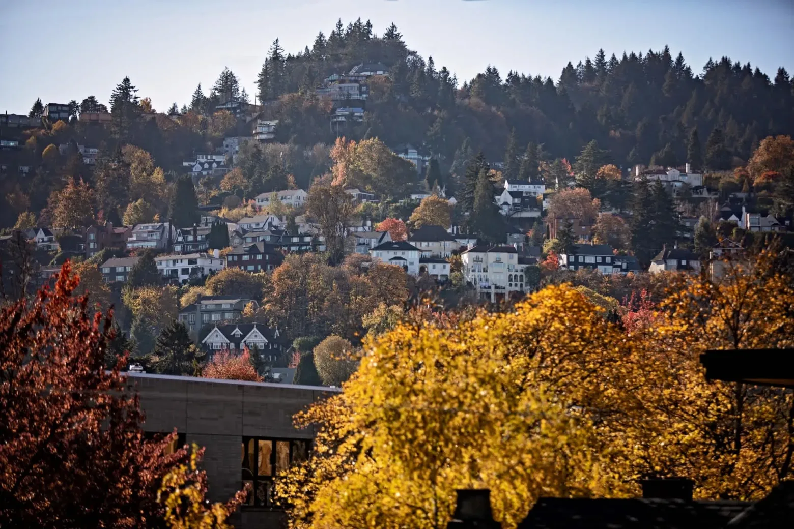 Hillside neighborhood with colorful autumn trees and houses built on a slope; a forested backdrop completes the scenic view.