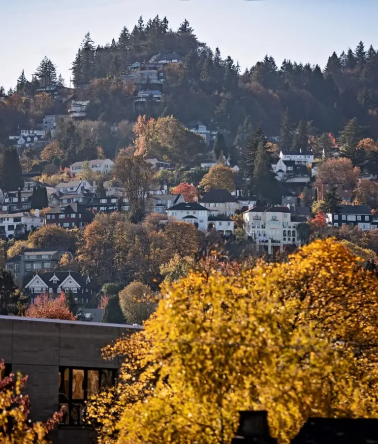 Hillside neighborhood with colorful autumn trees and houses built on a slope; a forested backdrop completes the scenic view.